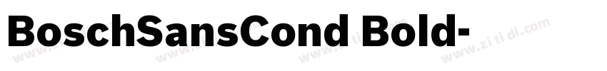 BoschSansCond Bold字体转换
